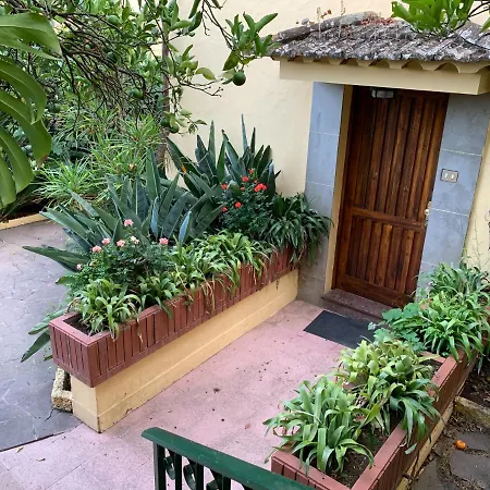 Casa Rural De Tio Felix Vega de San Mateo Exterior photo